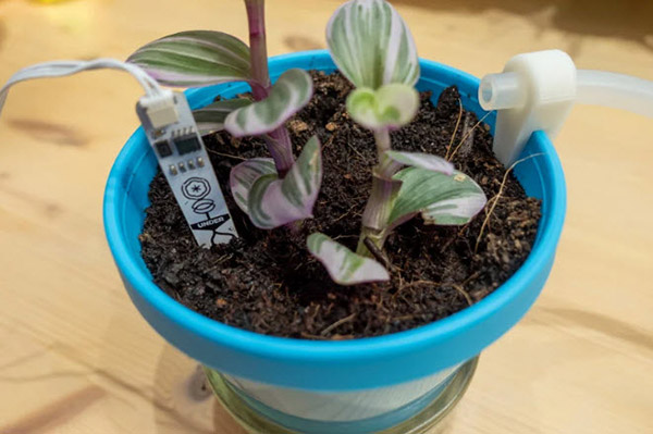 pot_8